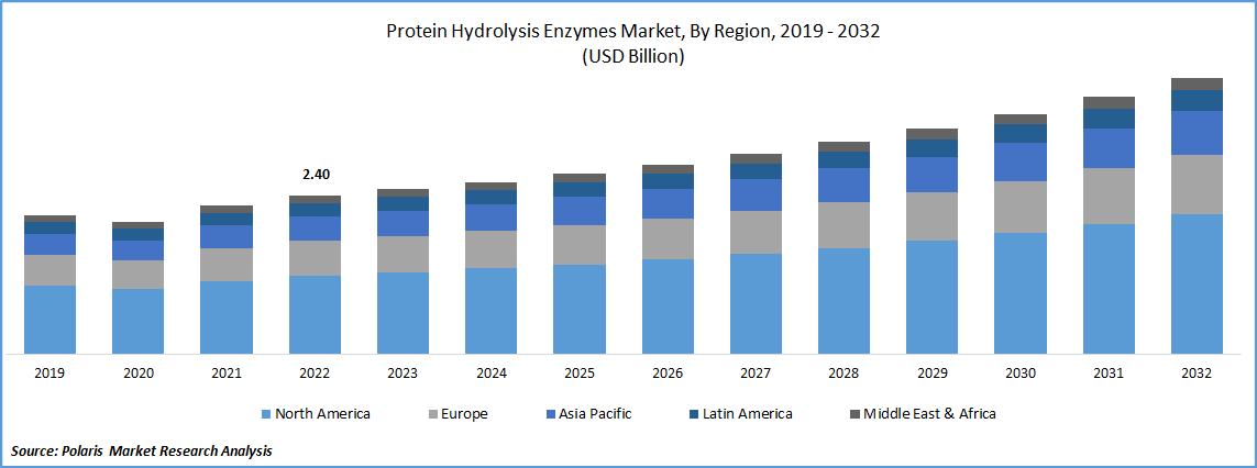 Protein Hydrolysis Enzymes Market Size